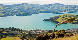 Excursii optionale Akaroa