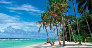 Excursii optionale Barbados
