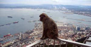 Excursii Optionale Gibraltar
