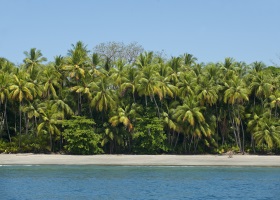 Insula Parida, Panama