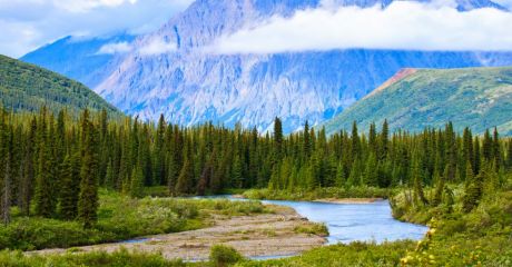 Denali National Park, Alaska