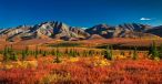 Denali National Park, Alaska