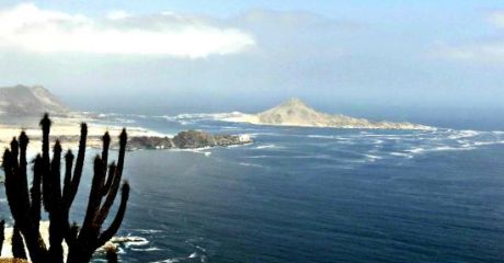 Isla Pan de Azucar, Chile