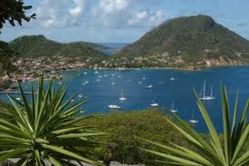 Image for Guadelupe