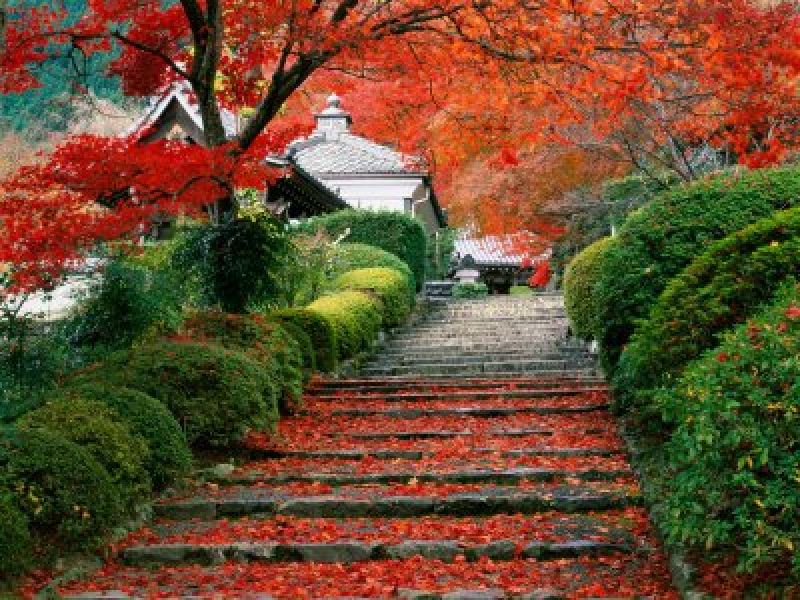 Image for Kyoto, Japonia