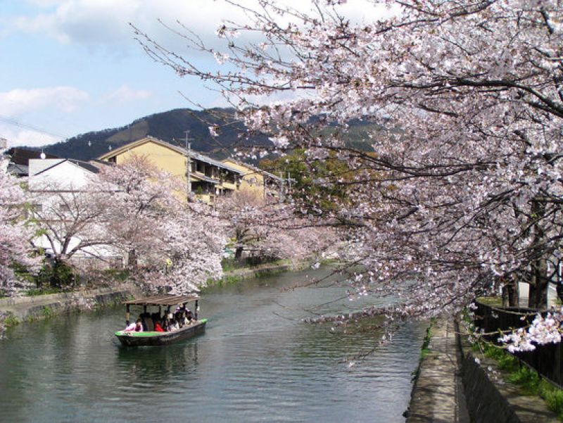 Image for Kyoto, Japonia