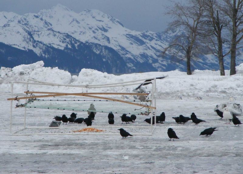 Image for Seward, Alaska