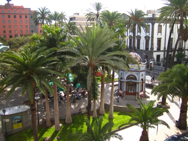 Image for Las Palmas, Insulele Canare