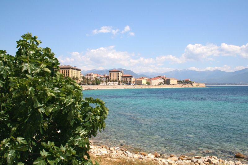 Image for Ajaccio, Corsica, Franta