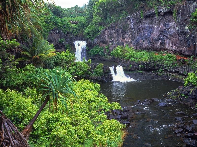 Image for Lahaina, Maui, HI