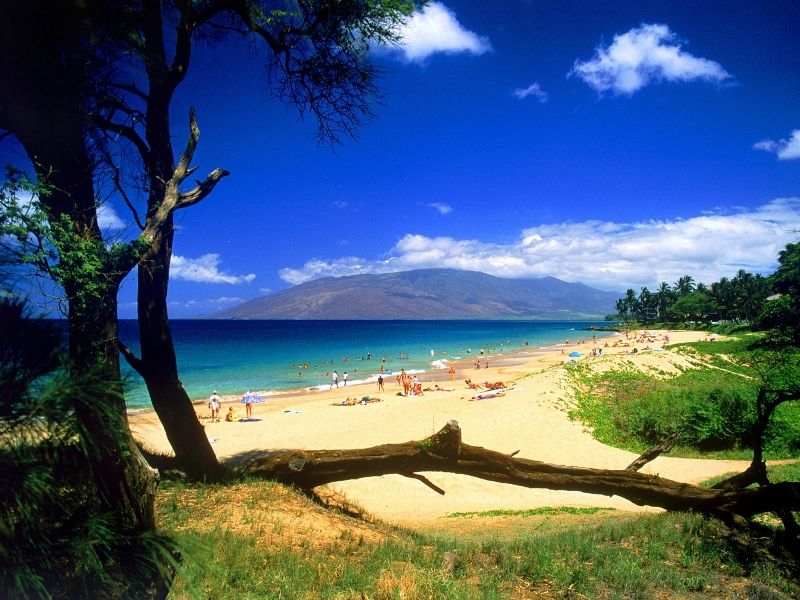 Image for Lahaina, Maui, HI