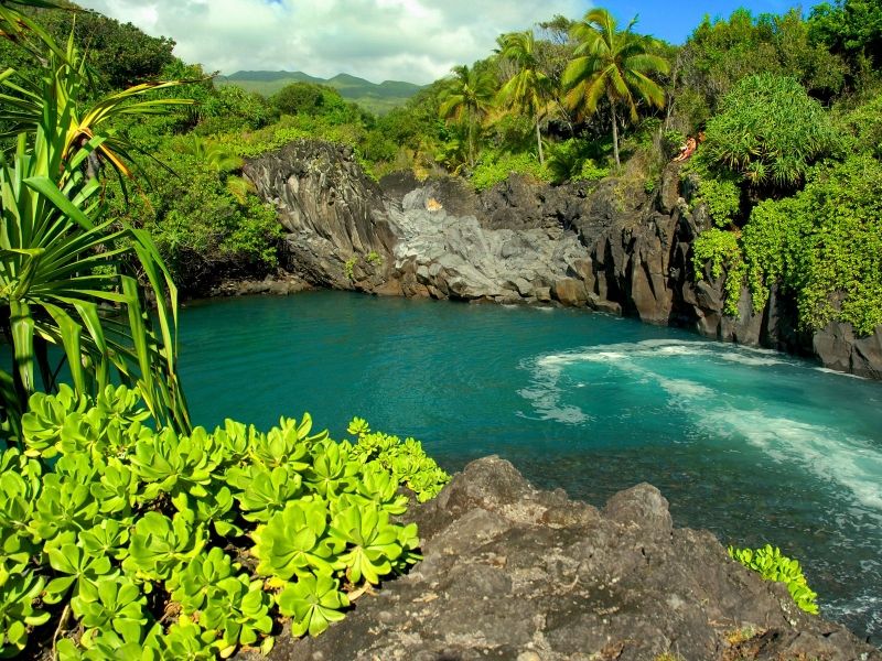 Image for Lahaina, Maui, HI