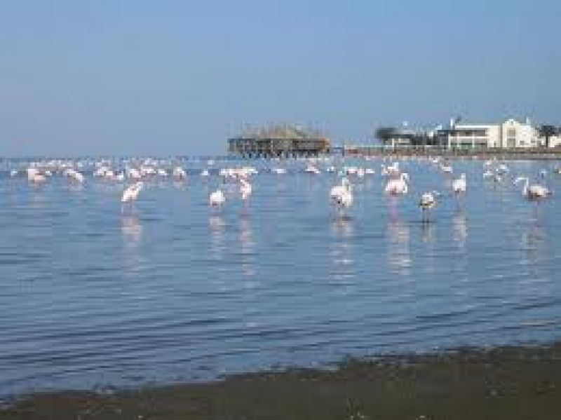 Image for Walvis Bay, Namibia