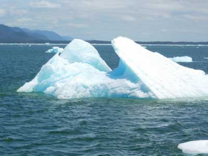 Image for Laguna San Rafael, Chile