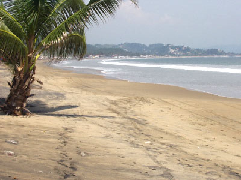 Image for Manzanillo, Mexic