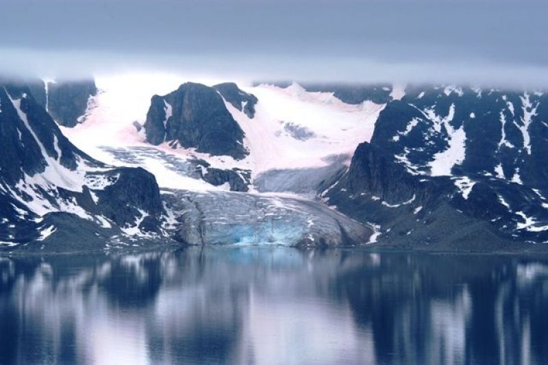 Image for Cercul Arctic