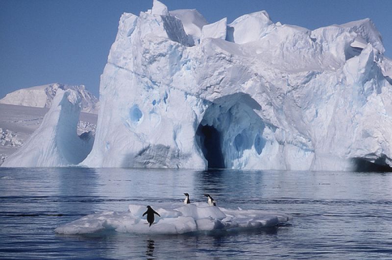 Image for Peninsula Antarctica