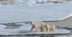 Spitsbergen, Norvegia